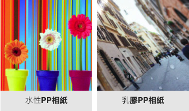 螢幕快照 2019-04-25 下午7.53.18.png